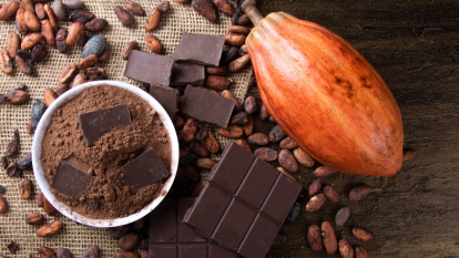 cocoa-extract-age-related-muscle-loss