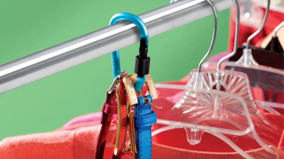 Hanging belts on a carabiner clip is one of many small closet storage ideas
