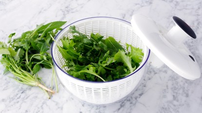Salad spinner