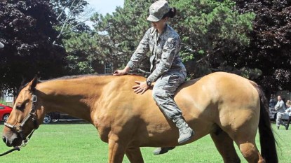 horses-help-heal-wounded-warriors