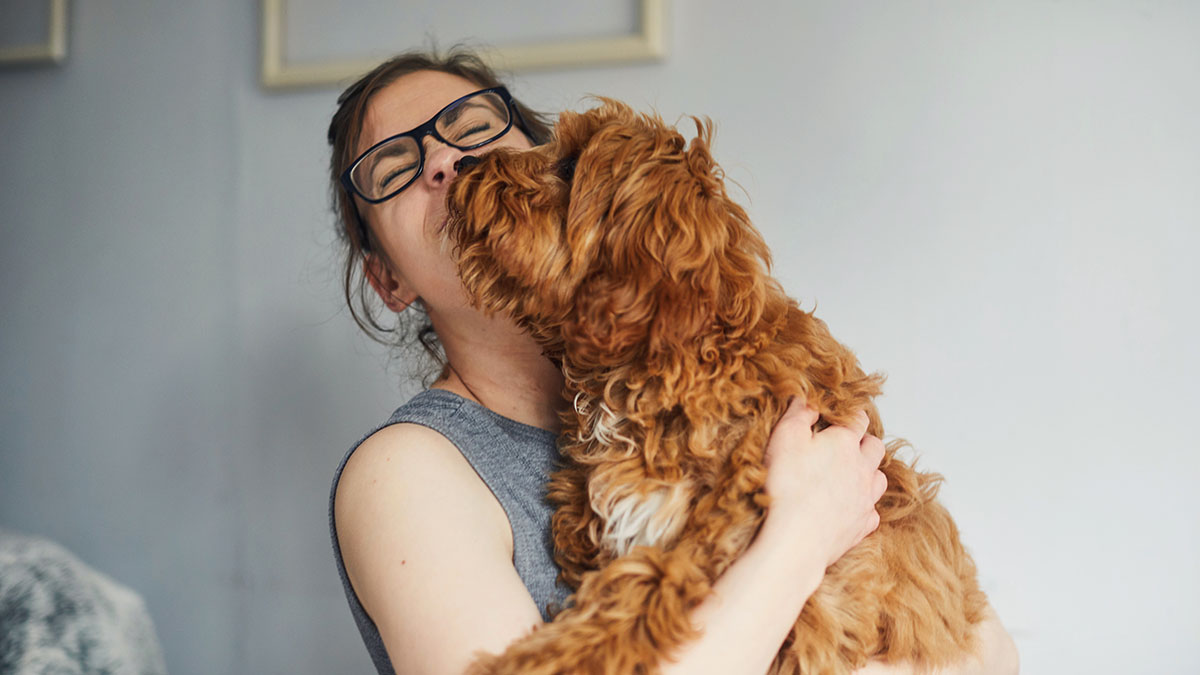 Does My Dog Love Me? 3 Signs to Look for If You Wonder Woman's World