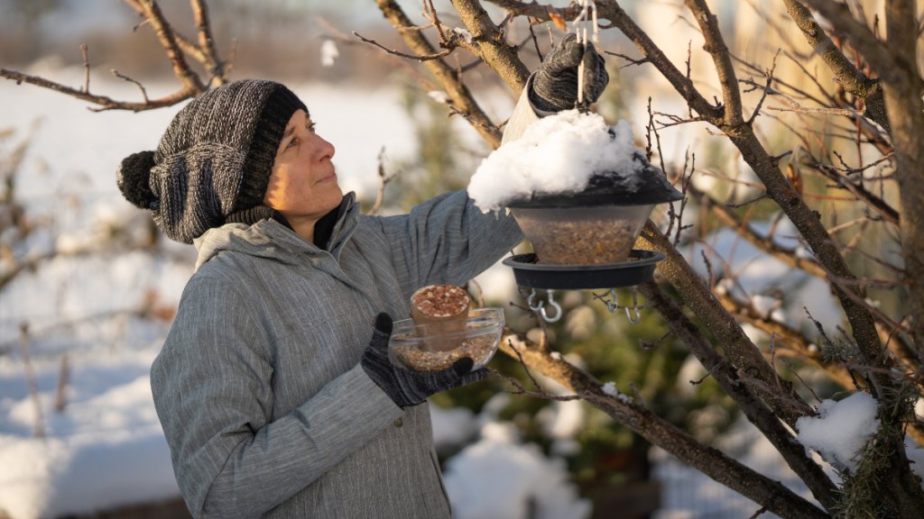 woman fills bird feeder in winter