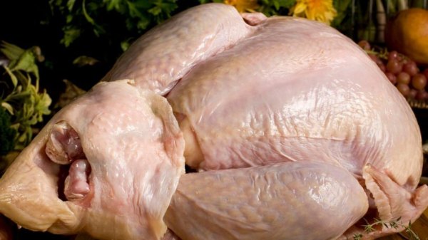 best-thanksgiving-delivery-kits-2