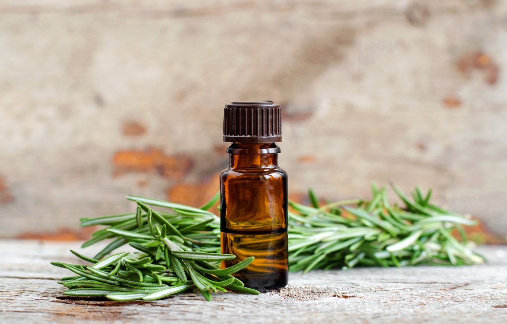 Rosemary beauty treatment, one of the healing herbs