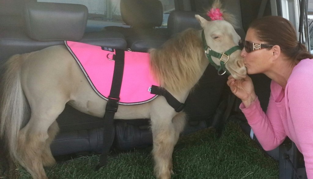 Faith-San-Severino-and-Sky-her-first-mini-horse-254dpi