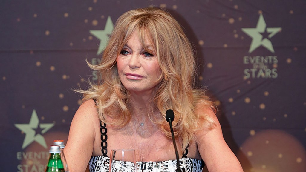 Actress Goldie Hawn sits at a press conference with a microphone.
