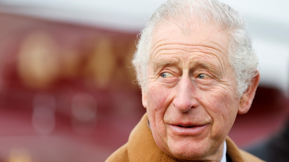 Close up of Prince Charles looking to his right