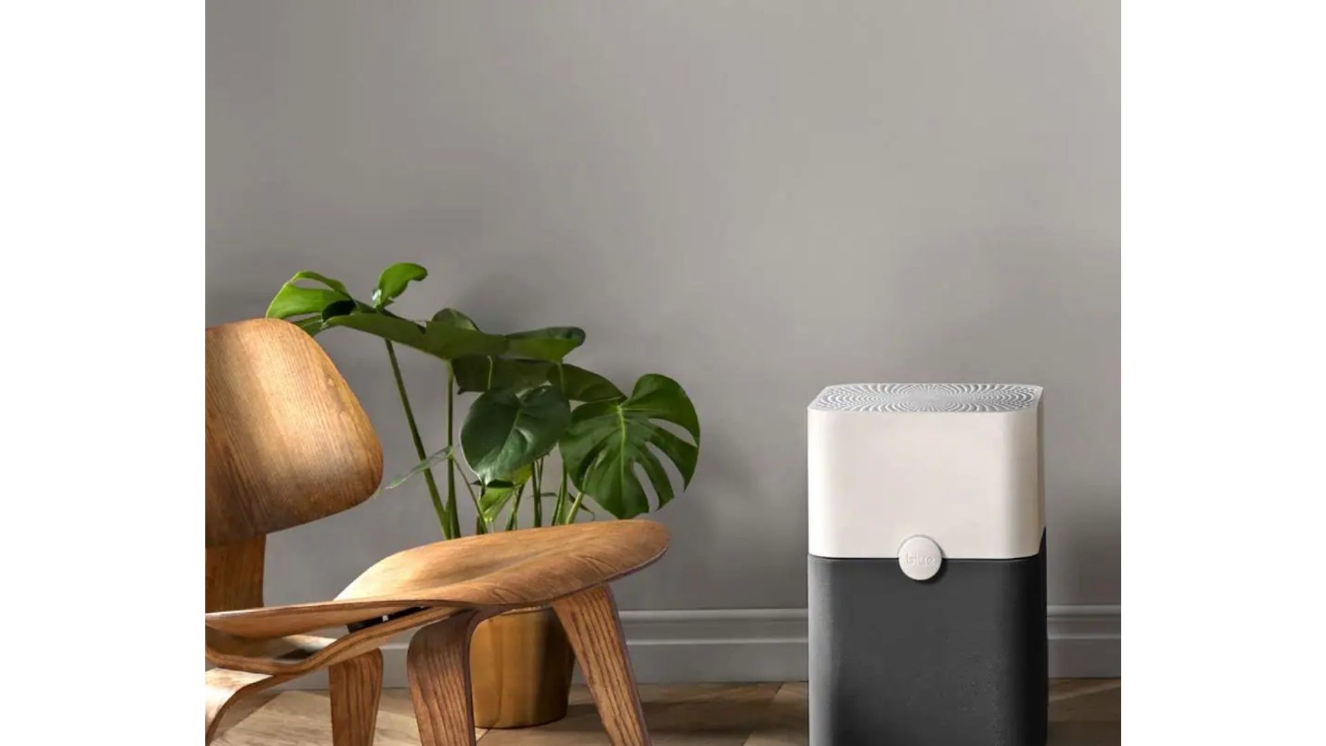 Best Air Purifiers for Large Rooms