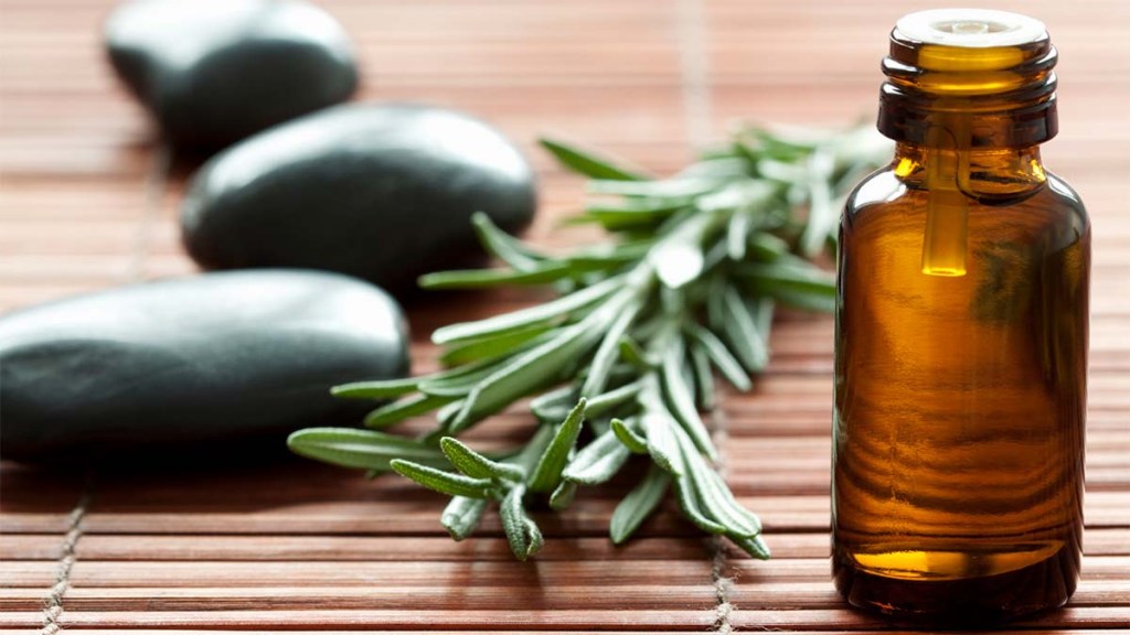 Rosemary Oil Benefits for Hair Loss and Skin Aging