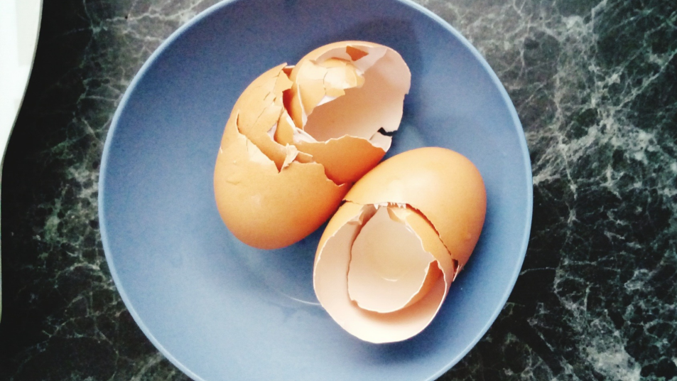 broken eggshells in a bowl
