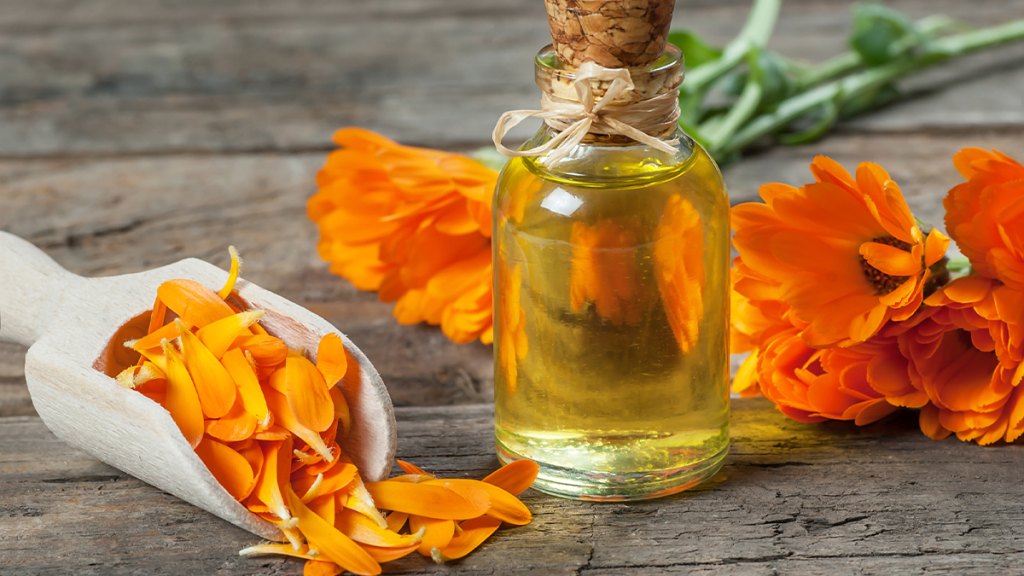 Calendula oil