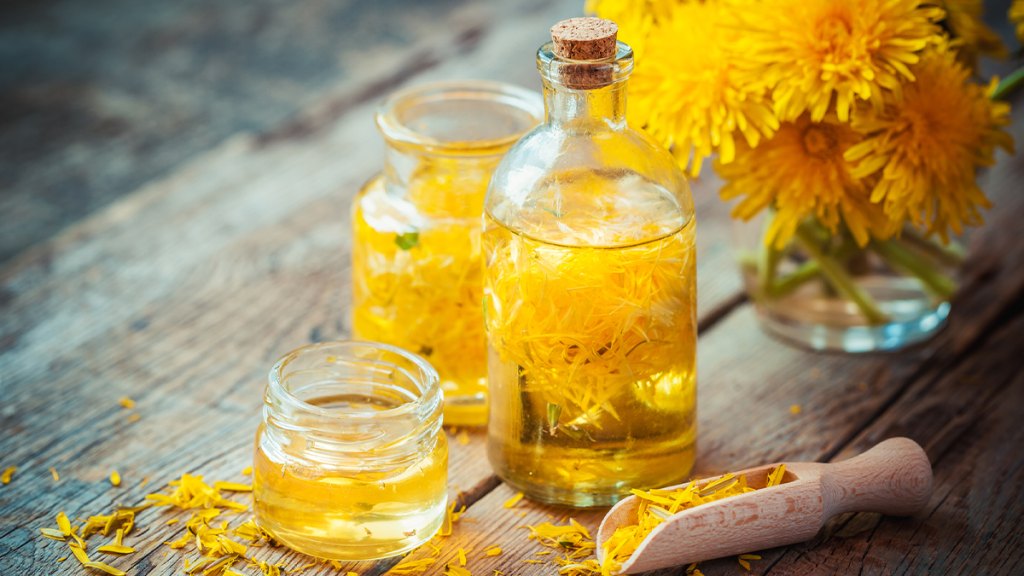Dandelion extract