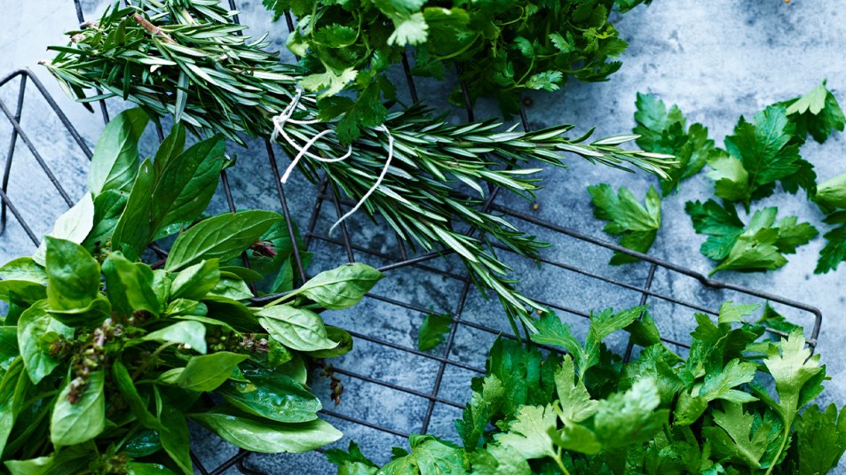 How to dry fresh herbs story image