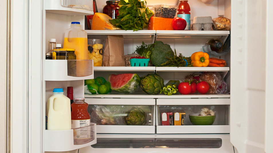 fridge with food