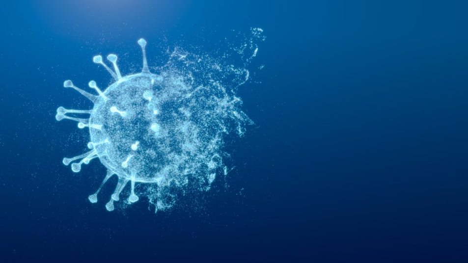 3D rendering of a coronavirus exploding