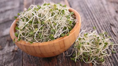 broccoli sprouts in a wooden bowl on wooden table