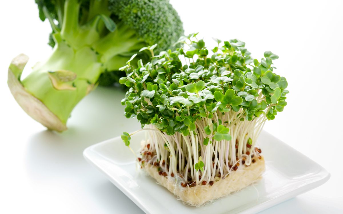 broccoli sprouts on a white table, broccoli behind them