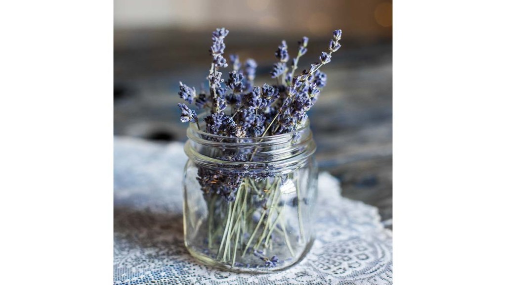 Springs-of-fresh-lavendar-in-a-small-mason-jar