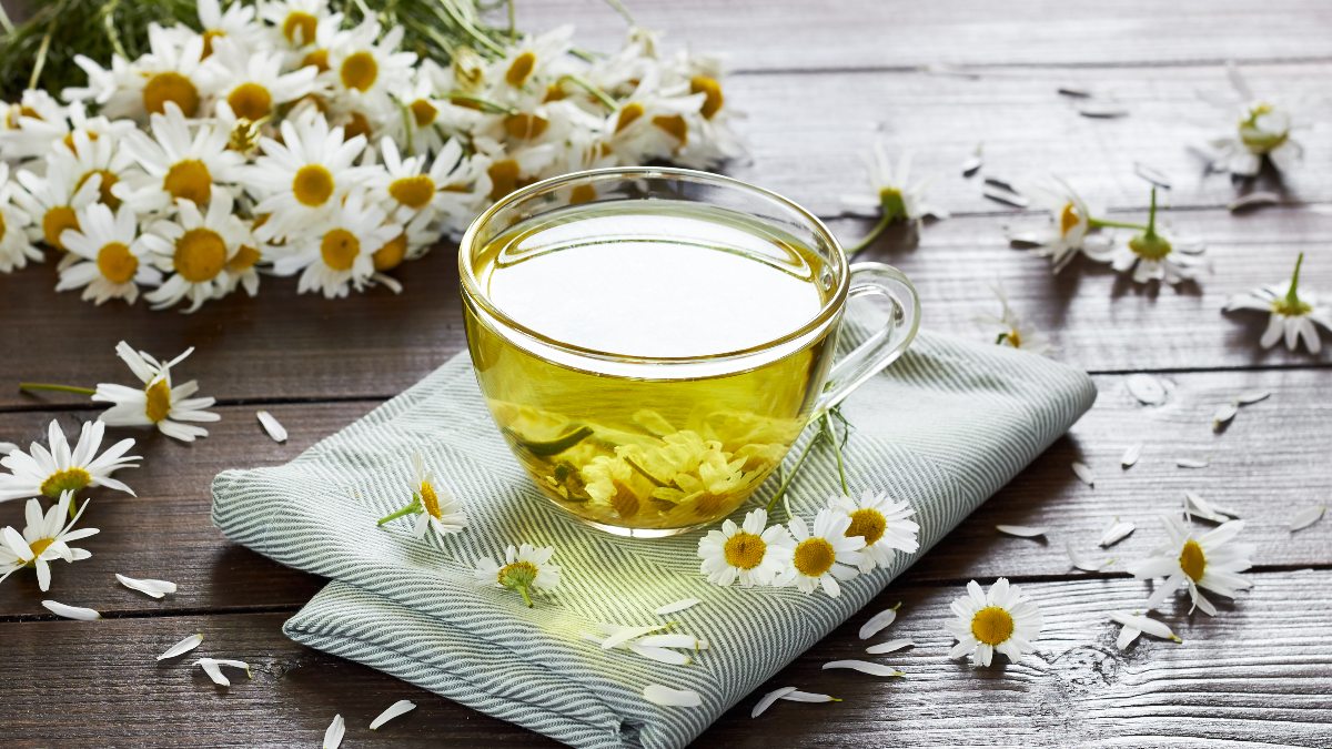 yellow chamomile tea in a glass teacup surrounded by chamomile flowers on a table