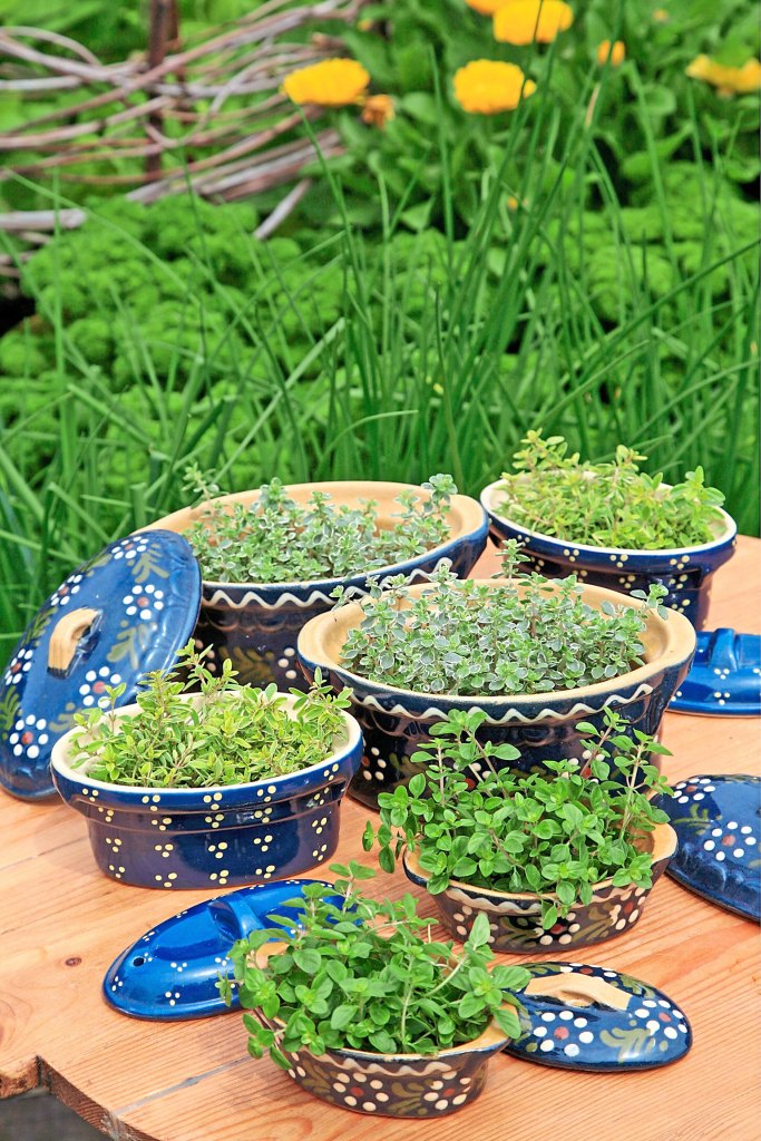 herb filled dutch ovens and baking dishes - using secondhand items to make outdoor gardens