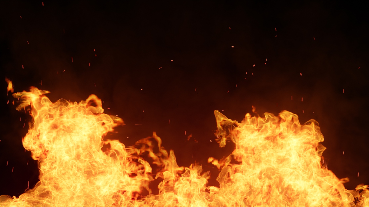 Fire Signs: Aries, Leo, and Sagittarius Explained | Woman's World