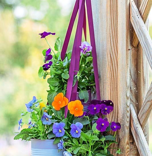 hanging flower tote with orange and purple flowers in planters
