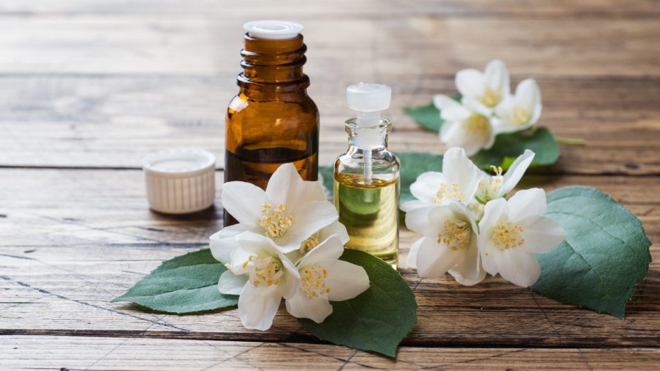jasmine flowers next to jasmine essential oil - a way of stimulating the vagus nerve