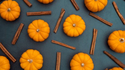 Orange pumpkin and cinnamon stick on stone background. Top view of flat lay style food and spice for menu, banner, magazine, cook book and web advertising.