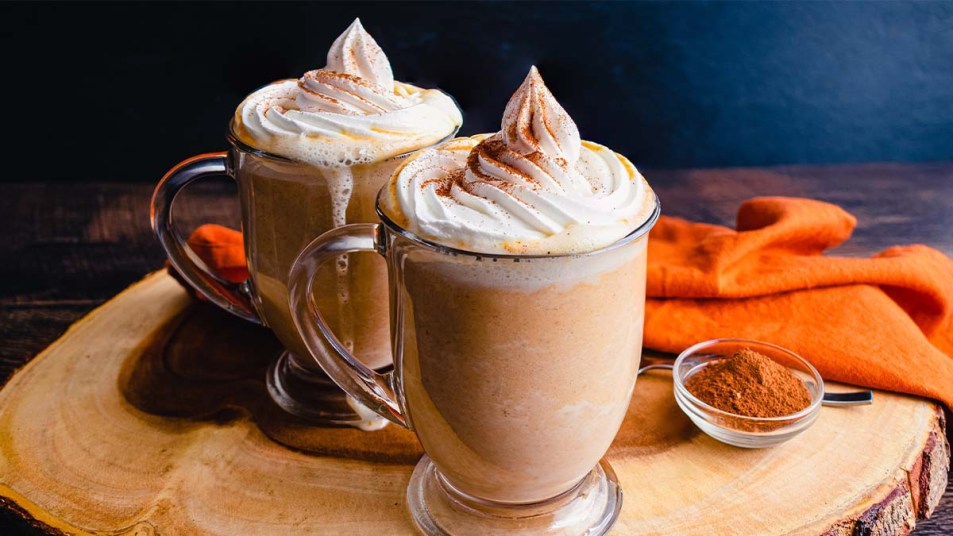 Pumpkin Spice Hot Chocolate Topped with Whipped Cream