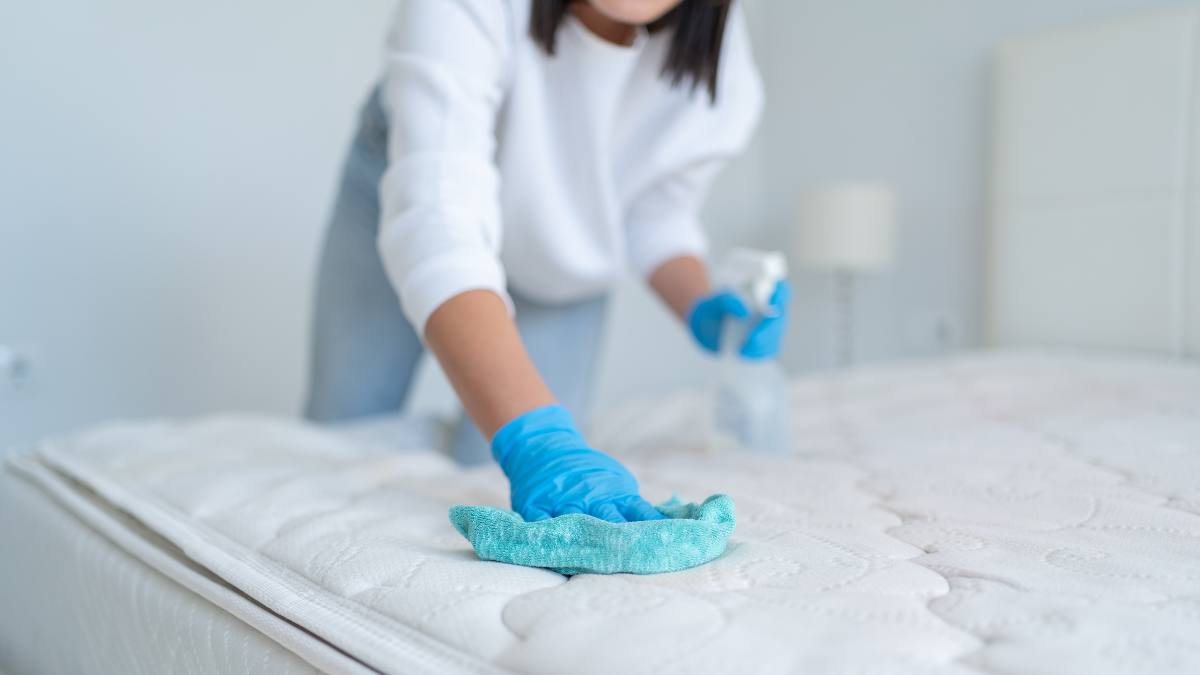 Woman cleaning a mattress