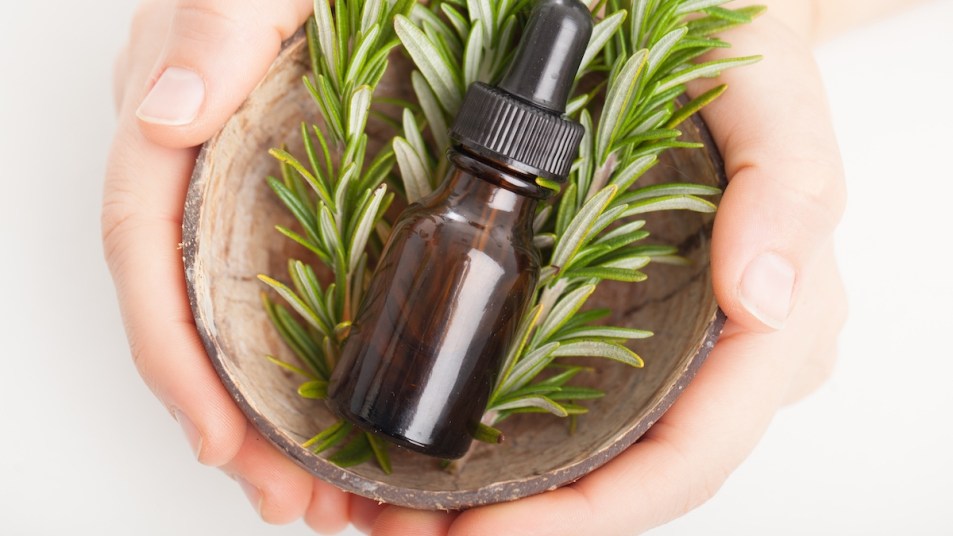 Woman's hands holding rosemary oil and rosemary leaves in bowl