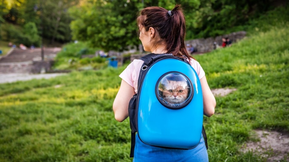 Woman carrying cat in backpack