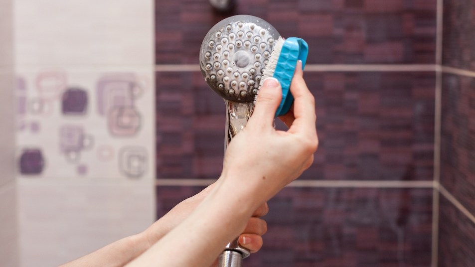 Woman's hands cleaning shower head with brush