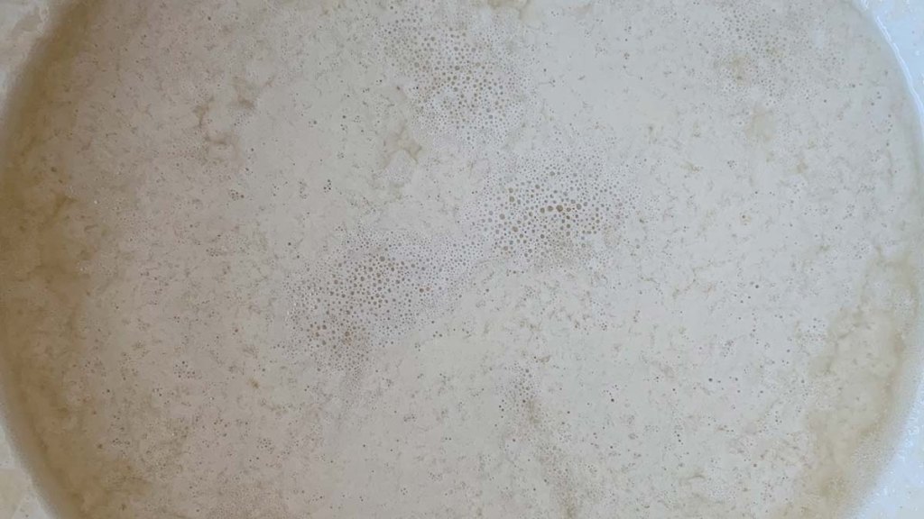 A closeup of my sourdough starter