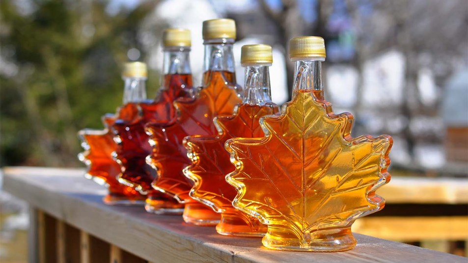 Different color variatons of maple syrup