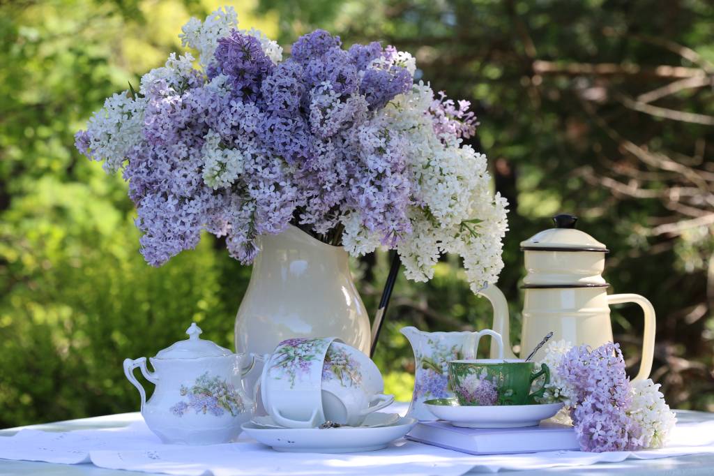 Bouquet,,Branches,Of,White,And,Purple,Lilac,In,Enamel,Pitcher,
