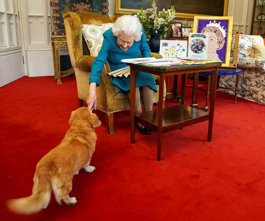 Queen Elizabeth playing with her dog