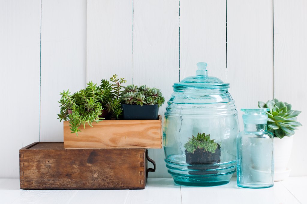 Vintage,Home,Decor:,Houseplants,,Green,Succulents,,Old,Wooden,Boxes,And