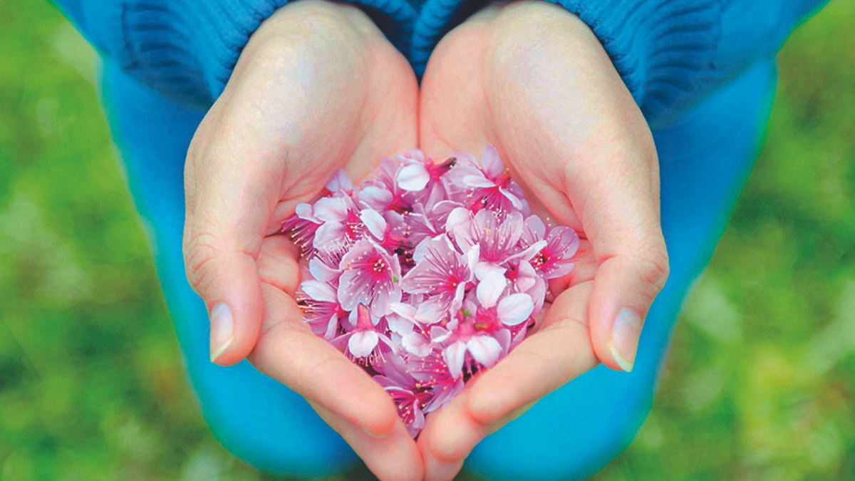 hands cupping flower petals, concept for kindness