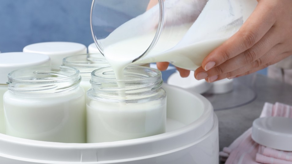 woman pouring milk into glass jars to make yogurt at home