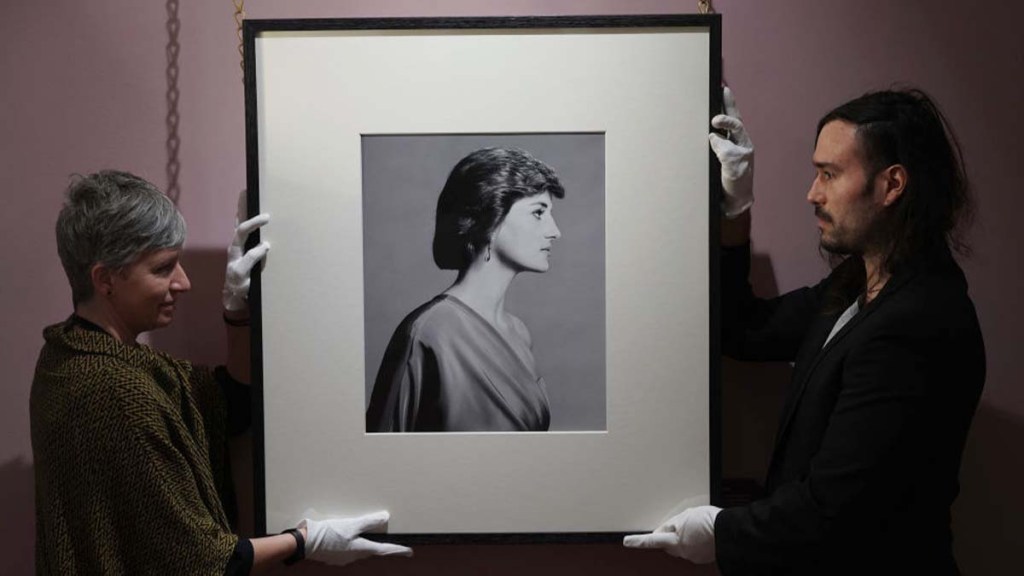 Princess Diana unseen portrait