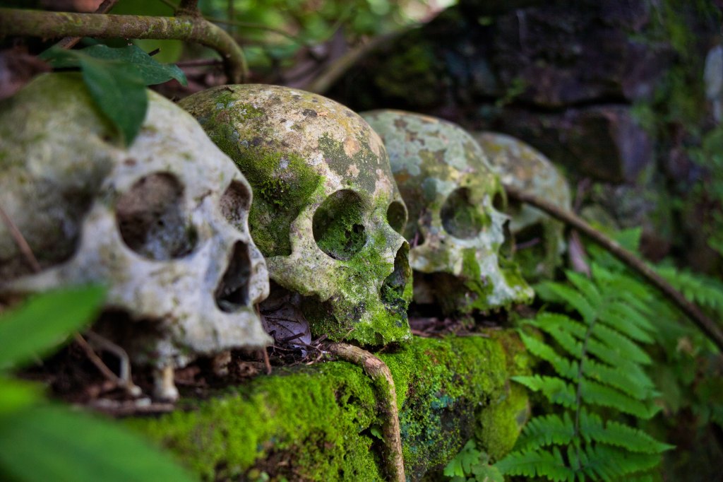 Human,Skulls,On,Display,At,Trunyan,Cemetery,In,Bali.,Trunyan