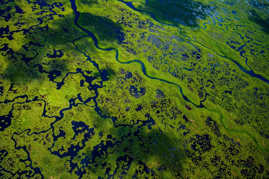 Aerial,View,Of,Green,Wetlands,And,Flowing,Water,In,Everglades