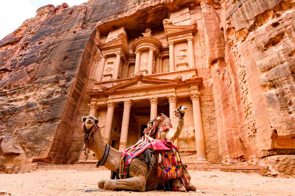 Spectacular,View,Of,Two,Beautiful,Camels,In,Front,Of,Al