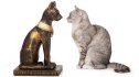 Cat looking at ancient Egyptian cat sculpture