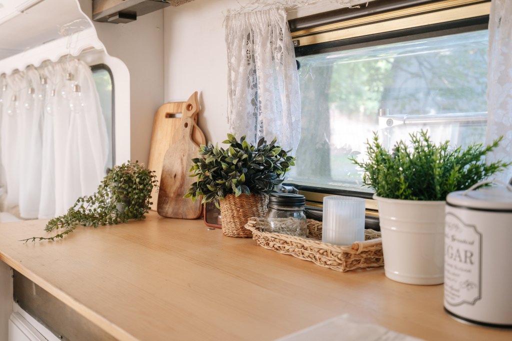 Interior,Of,Home,,Windowsill,With,Flower,,Indoor,Camper,Van.,Green
