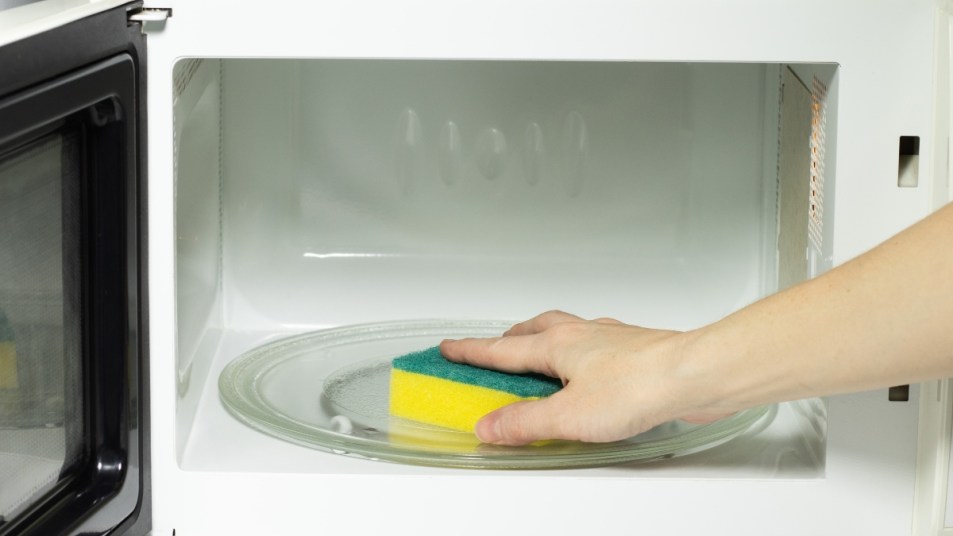 Close-up of female hand cleaning microwave oven with sponge.