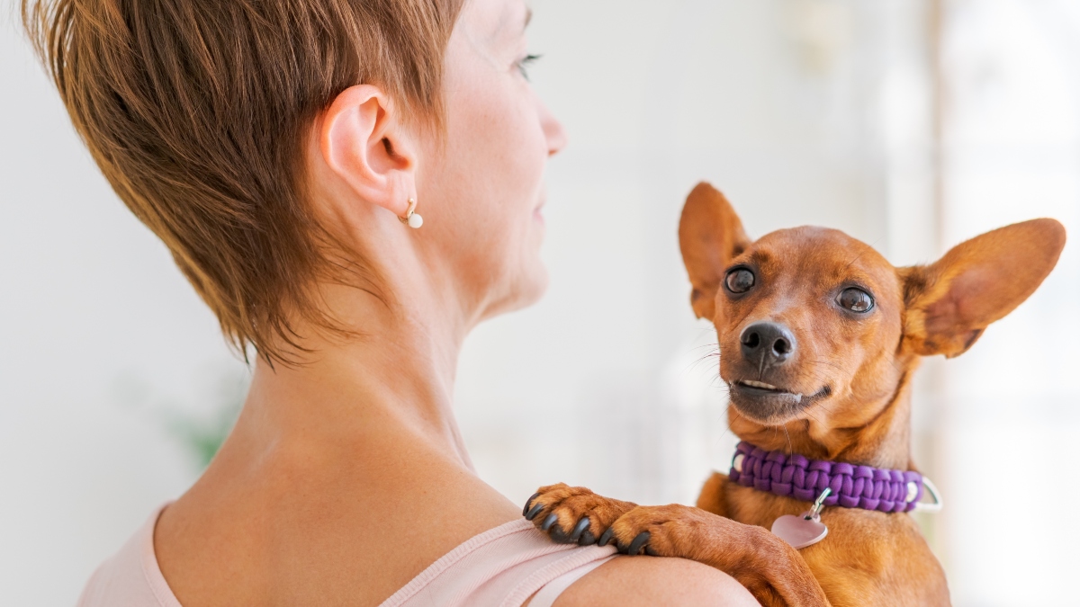 The Secret Lives of Little Dogs — What You Should Know as a Small Pet Owner