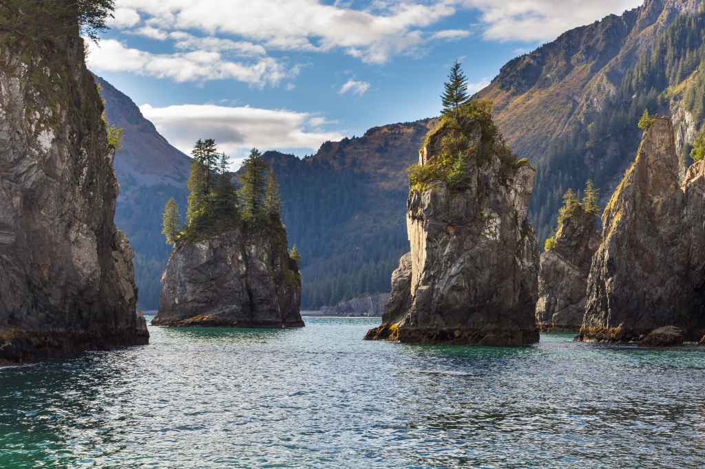 Spire,Cove,Located,Within,Kenai,Fjords,National,Park.,Wildlife,Cruise