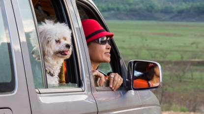 Woman and dog enjoy looking view from truck window